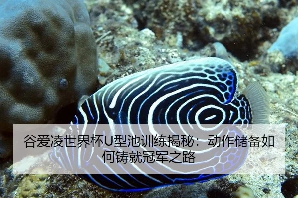 谷爱凌世界杯U型池训练揭秘：动作储备如何铸就冠军之路